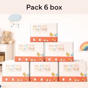 Boîte Futur Grand Frère ou Grande Sœur - Pack 6 box